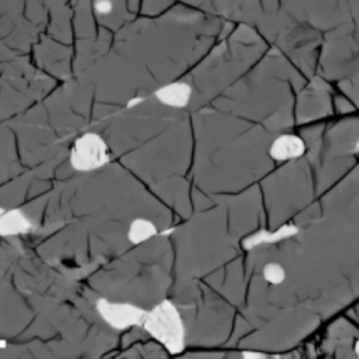 Réseau de fractures conjuguées dont le glissement rapide est à l’origine des ondes ultra-soniques enregistrées au laboratoire. Ces fractures, dont l’épaisseur est parfois surlignée en gris clair sur la micrographie électronique, sont remplies de la phase de haute pression de l’olivine de germanium. L’enstatite de germanium (MgGeO3), phase blanche et globuleuse, inerte dans le système, sert de marqueur du glissement. La barre d’échelle, située en bas à gauche de l’image, correspond à 10 microns, c’est à[...]