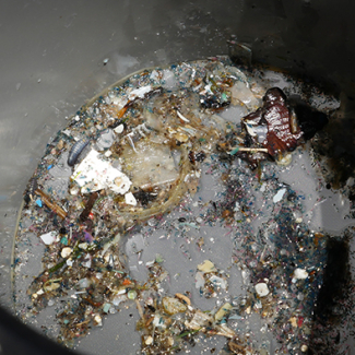 Photo de Jean-François Ghiglione en train de trier des échantillons de plastique.