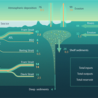 Illustration scientifique