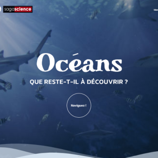 Océans: que reste-t-il à découvrir ? 