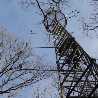 Pylône installé en forêt de Barbeau, en Seine-et-Marne