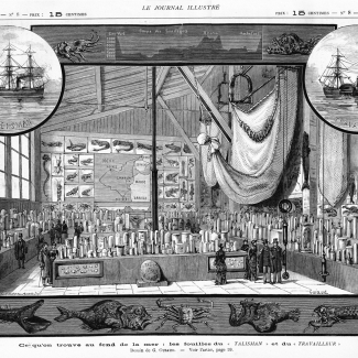 Vue de l'exposition sur les expéditions du Travailleur et du Talisman, au Muséum d'histoire naturelle. Parue le dimanche 24 février 1884 dans Le Journal Illustré, Année 20, n°8.