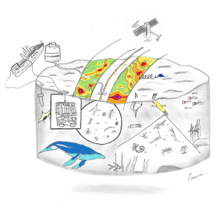 Illustration de la campagne BioSWOT-Med