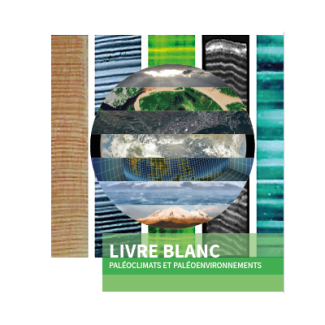 visuel livre blanc