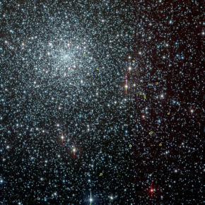 Image de l'amas globulaire NGC 6397 prise avec le télescope de 2,2 m de l'ESO. Les carrés jaunes représentent les étoiles cibles observées avec le VLT équipé du spectrographe FLAMES-UVES.

© ESO.[...]