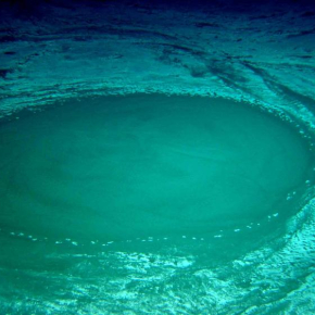Par 3000 m de profondeur, sur un volcan de boue au large de l'Egypte, un mélange de boue, de saumures et de fluides est émis en fond de mer par ces sorties circulaires qui évoquent des jacuzzis. La température en surface des ces évents est de 40°C. La "neige" qui les entoure est constituée de soufre élémentaire résultant de l'oxydation de sulfures par de bactéries.

© CNRS - Ifremer / Victor 6000 / Medeco 2007.[...]