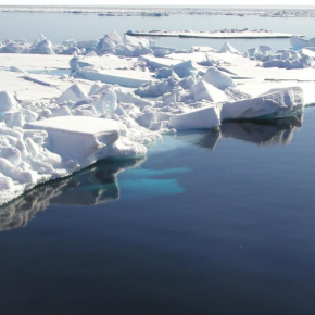 Fonte de la glace de mer annuelle (un an d'âge) en mer de Beaufort au printemps 2004 au cours de l'expédition canadienne CASES (Canadian arctic shelf exchange study).


© Owen Owens[...]