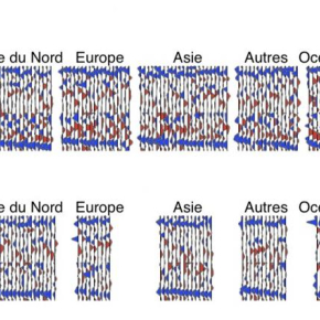 Données sismologiques. La ligne bleue au bas des enregistrement marque la limite supérieur de la zone de transition à 410 km de profondeur. Les triangles rouge au-dessus de cette ligne matérialisent la couche à faible vitesse indiquant la présence de magma. 

© Tauzin et al. Nature Géoscience 2010[...]