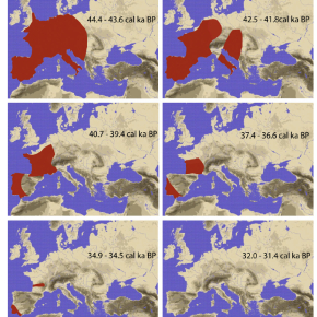 Régions occupée par Neanderthal à différentes époques. 

© Actualisée d'après Bocquet-Appel and Demars, 2000[...]