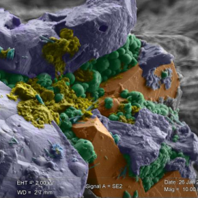 Observations en microscopie électronique à balayage de niches microbiennes (hydrogrenats en bleu) au sein de pyroxènes serpentinisés, mettant en évidence des assemblages atypiques de minéraux (serpentines polyhédrales, en vert, et oxydes de fer, en rouge) intimement associés à des molécules organiques dont la signature obtenue par spectroscopie Raman atteste d’une origine biologique (reliques du « biofilm » en jaune). © IPGP (CNRS, Univ Paris Diderot, PRES Sorbonne Paris Cité)/Università di Modena e Re[...]