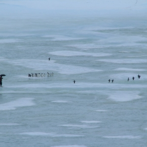 Photo of a rainy weather and melting sea ice in Adélie, Antarctica, during the passage of an atmospheric river