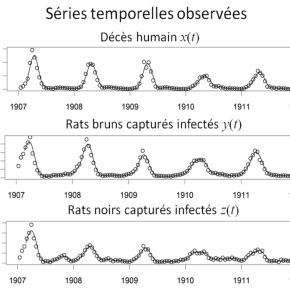 Illustration scientifique