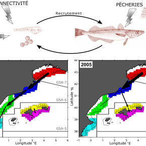 Illustration scientifique