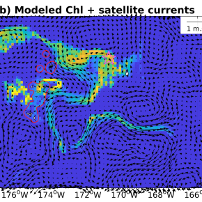 Carte des concentrations de chlorophylle au moment du pic du bloom : a) mesurées par satellite (blanc = données manquantes) : représentées par le modèle.