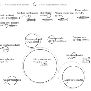 Illustration scientifique