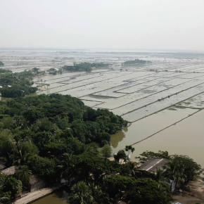 Vue aérienne du polder de Gabura Union, situé dans le centre du delta du Bengale. 