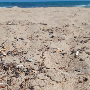  Photo d'une plage tunisienne montrant l'accumulation de mégots de cigarettes.