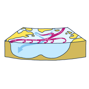 Gulf stream et circulation de retournement