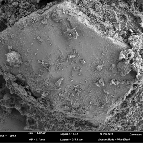 Photo obtenue au cryo-microscope électronique à balayage montrant un grain de quartz enveloppé par un complexe constitué d’argile et d’exopolymères