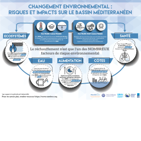 Changements environnementaux et Méditerranée