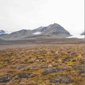 Bayelva Permafrost