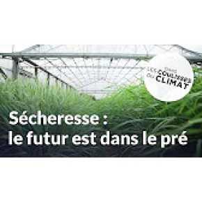 visuel coulisses du climat sécheresse